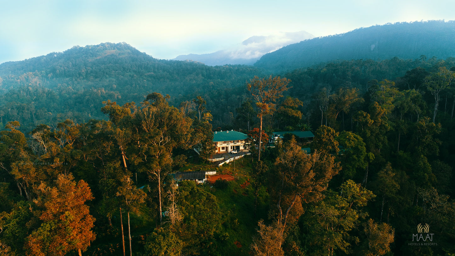 🌿 Munnar Tour Package for Couples | Gift a Romantic Hill Escape
